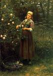 Daniel Ridgway Knight - Roses de coupe