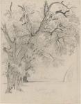 William Trost Richards - Rangée d arbres, Interlachen